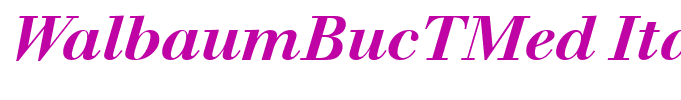 WalbaumBucTMed Italic